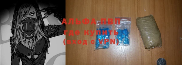 тгк Новозыбков