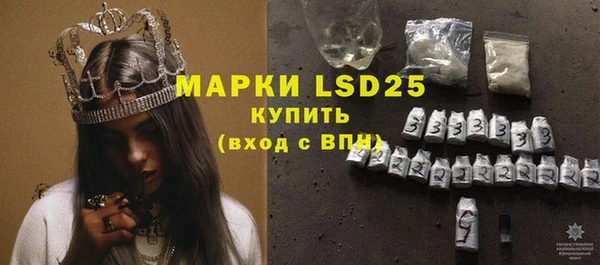 тгк Новозыбков