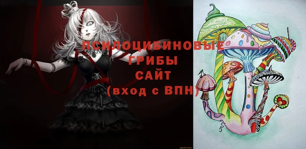 МДМА Новодвинск