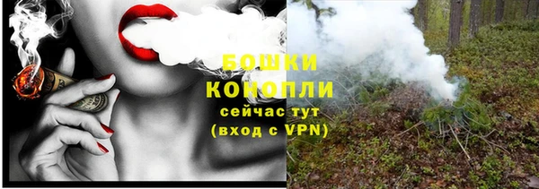тгк Новозыбков