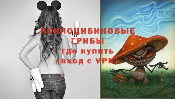 тгк Новозыбков