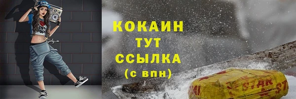тгк Новозыбков