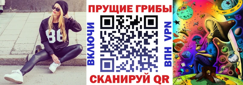 Галлюциногенные грибы мухоморы  Спас-Клепики 